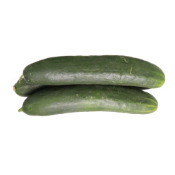 CONCOMBRE NOA 7KG